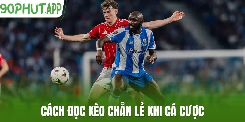 Cách đọc kèo chẵn lẻ khi cá cược