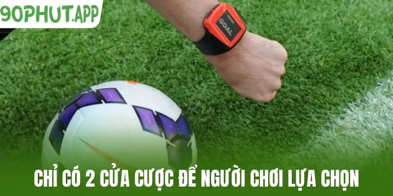 Chỉ có 2 cửa cược để người chơi lựa chọn