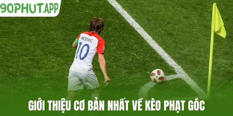 Giới thiệu cơ bản nhất về kèo phạt góc