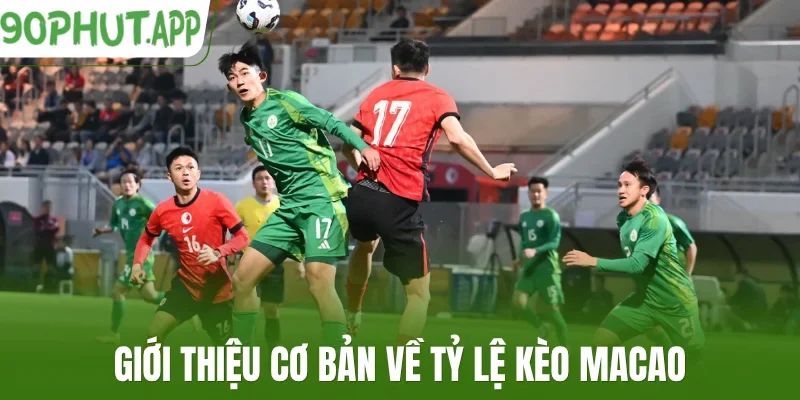Giới thiệu cơ bản về tỷ lệ kèo Macao