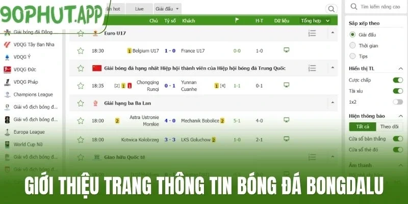 Giới thiệu trang thông tin bóng đá Bongdalu
