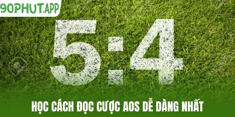 Học cách đọc cược AOS dễ dàng nhất