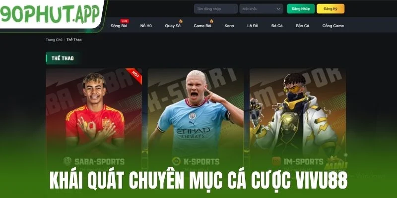 Khái quát chuyên mục cá cược Vivu88
