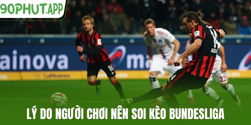 Lý do người chơi nên soi kèo Bundesliga