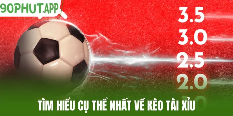 Tìm hiểu cụ thể nhất về kèo tài xỉu