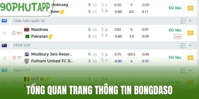 Tổng quan trang thông tin Bongdaso